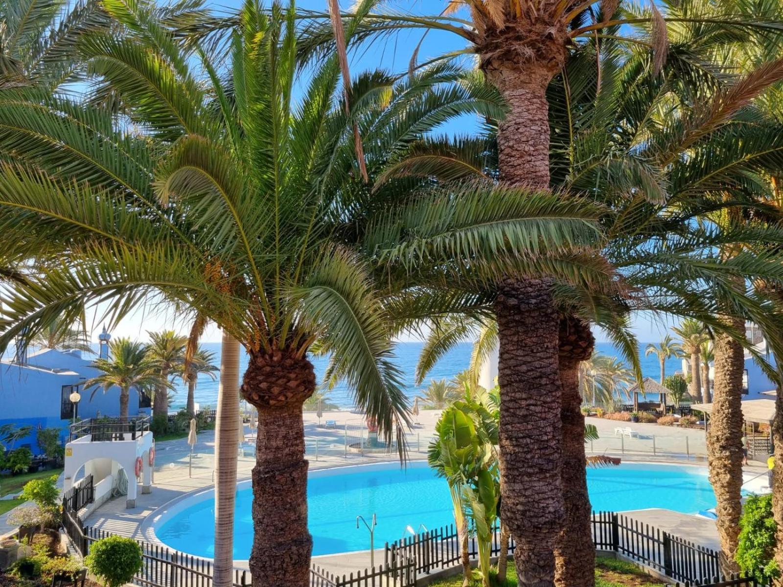Top 2 Sun Club Bungalow Terraza Maspalomas  Kültér fotó